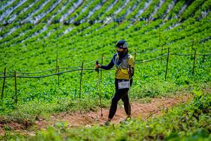 BIB: 2265
                            <button type="button" onclick="openModal(19164780)" class="btn btn-primary btn-sm float-right btn-popup" data-toggle="modal" data-target=".modal-high-quality">
                        <i class="fas fa-shopping-cart"></i> Add to Cart
                    </button>
                                            <button type="button" onclick="isThisMe(19164780, true)" class="btn btn-success btn-sm float-right btn-popup btn-isme hidden" data-toggle="tooltip" data-placement="bottom" title="นี่คือรูปของคุณใช่ไหม คลิกที่นี่เพื่อเอาเข้าอัลบั้ม">
                        <i class="fas fa-plus"></i> Add to album
                    </button>
                    <button type="button" onclick="isThisMe(19164780, false)" class="btn btn-warning btn-sm float-right btn-popup btn-isnotme hidden">
                        <i class="fas fa-ban"></i> Remove from album
                    </button>